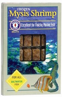 Frozen Mysis Shrimp
