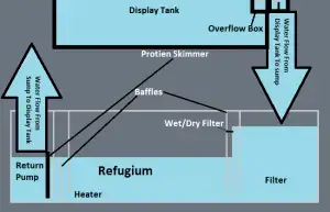1080+ Design Aquarium Sump Gratis Terbaru