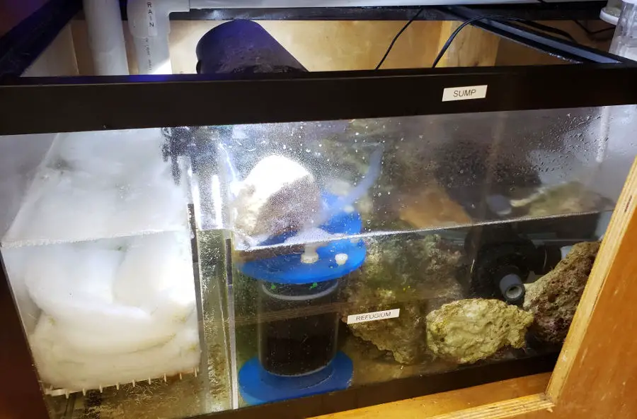 Aquarium Sump